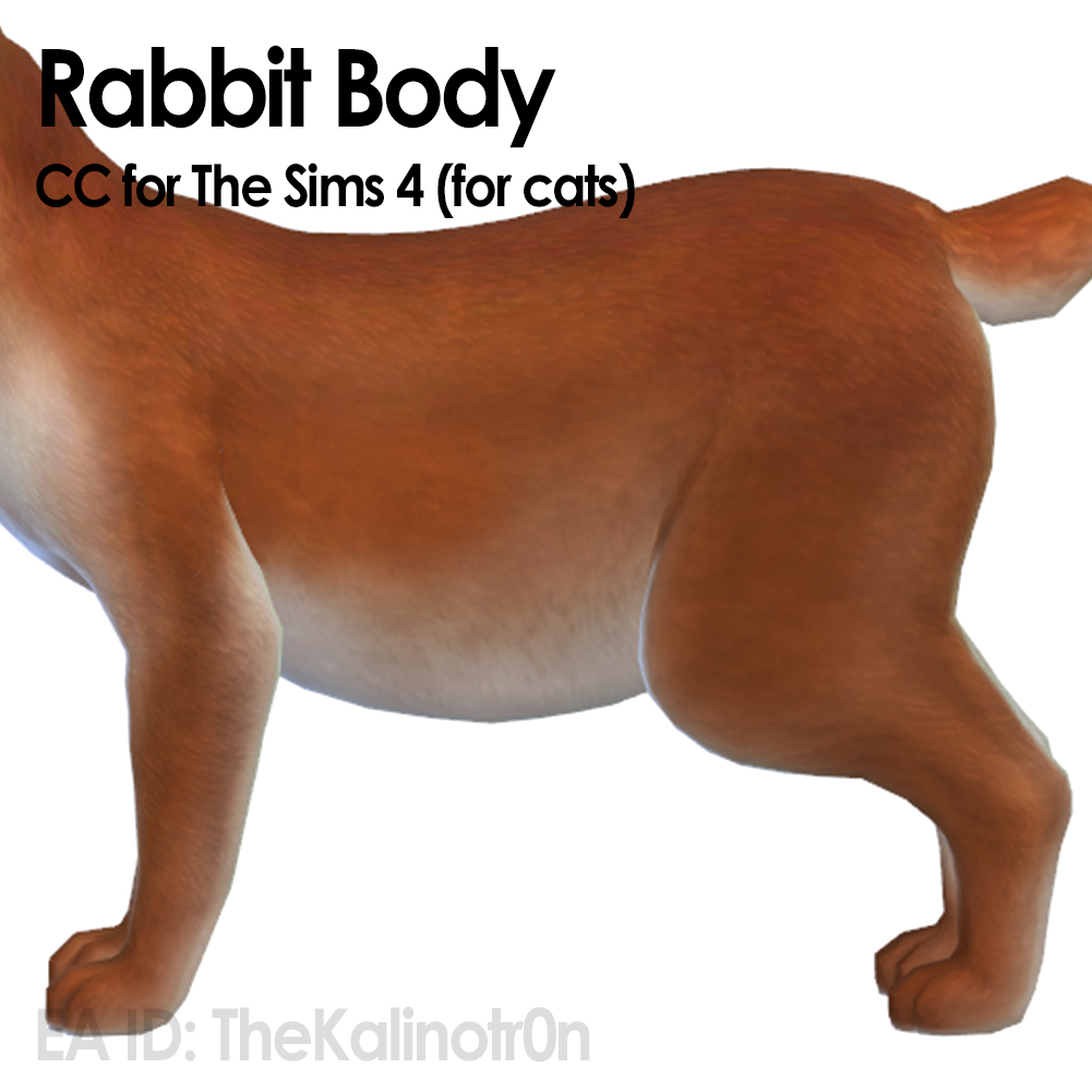 Rabbit Body