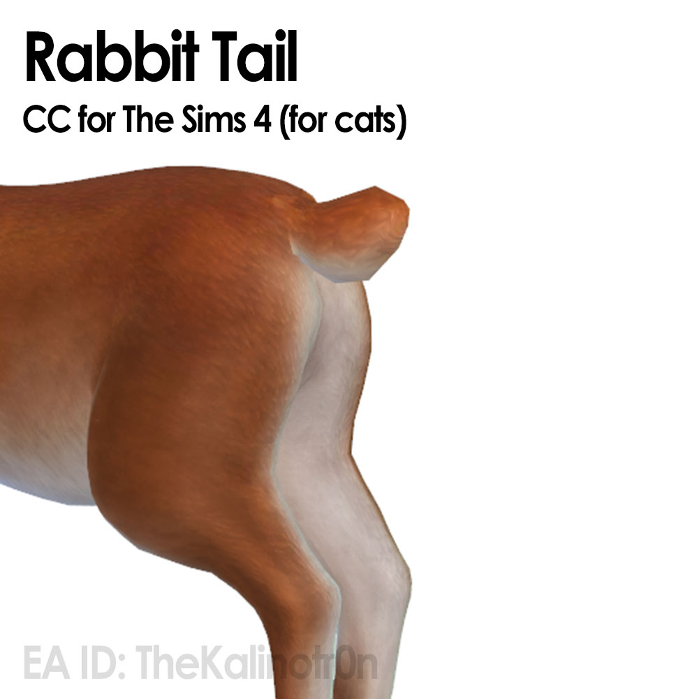 Pet tails 4