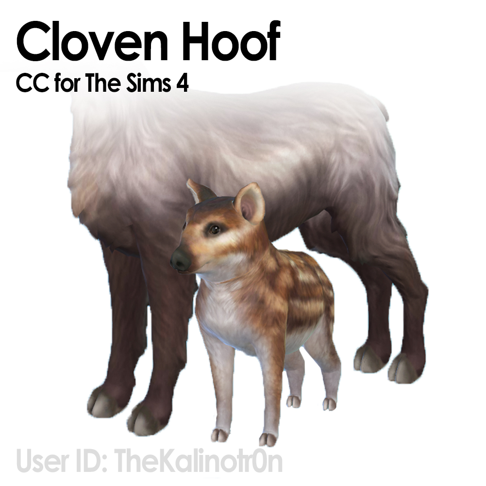 Cloven Hoof