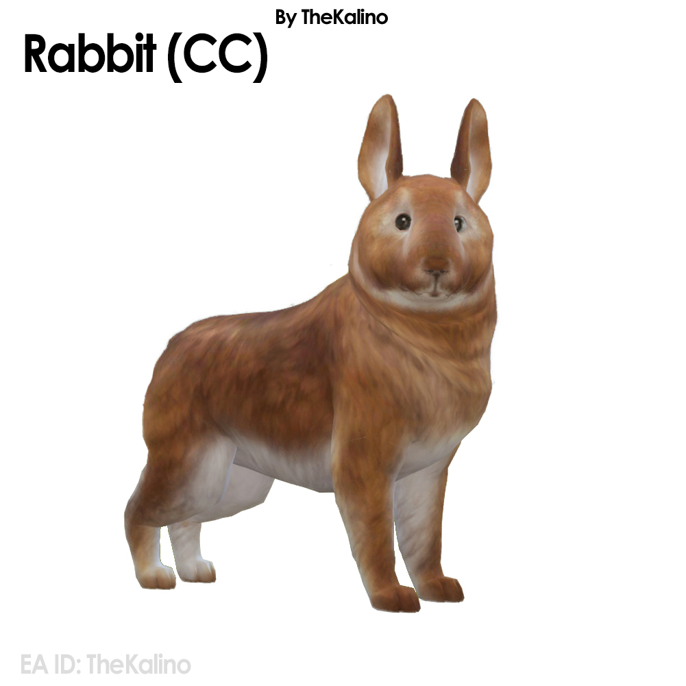 Rabbit Dog Example