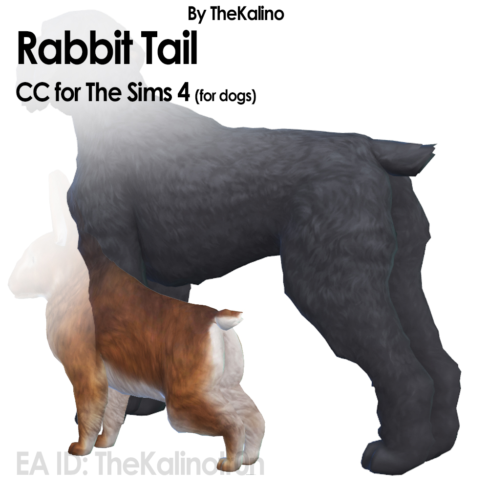 Rabbit Tail