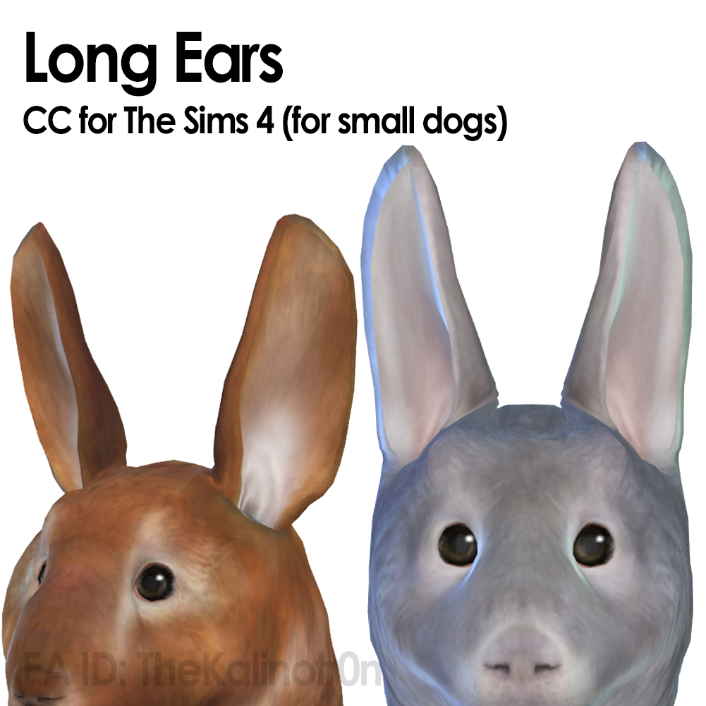 Long Ears