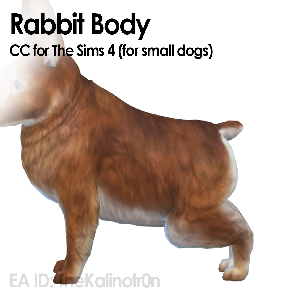 Rabbit Body