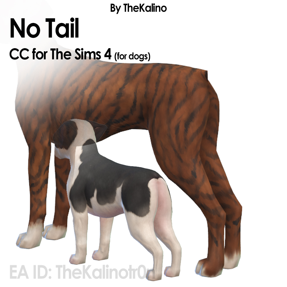 No Tail