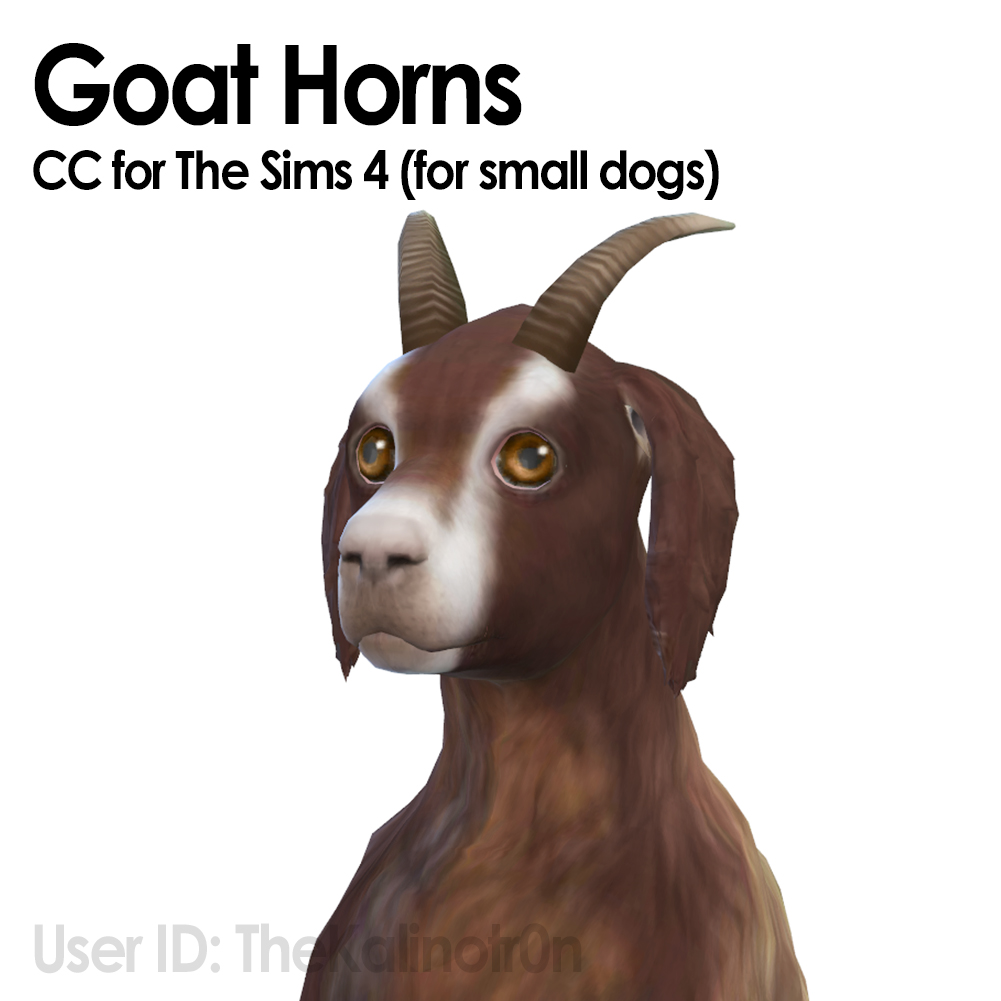 Goat Horns for small Dogs