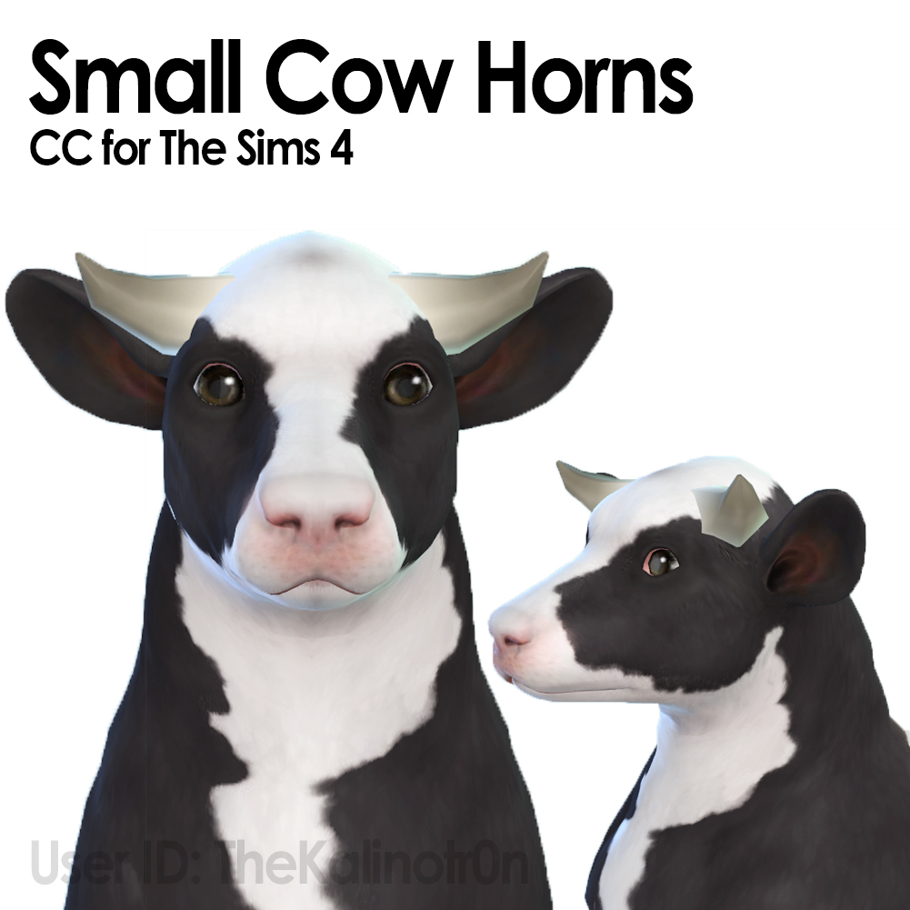 Small Cow Horns for large Dogs