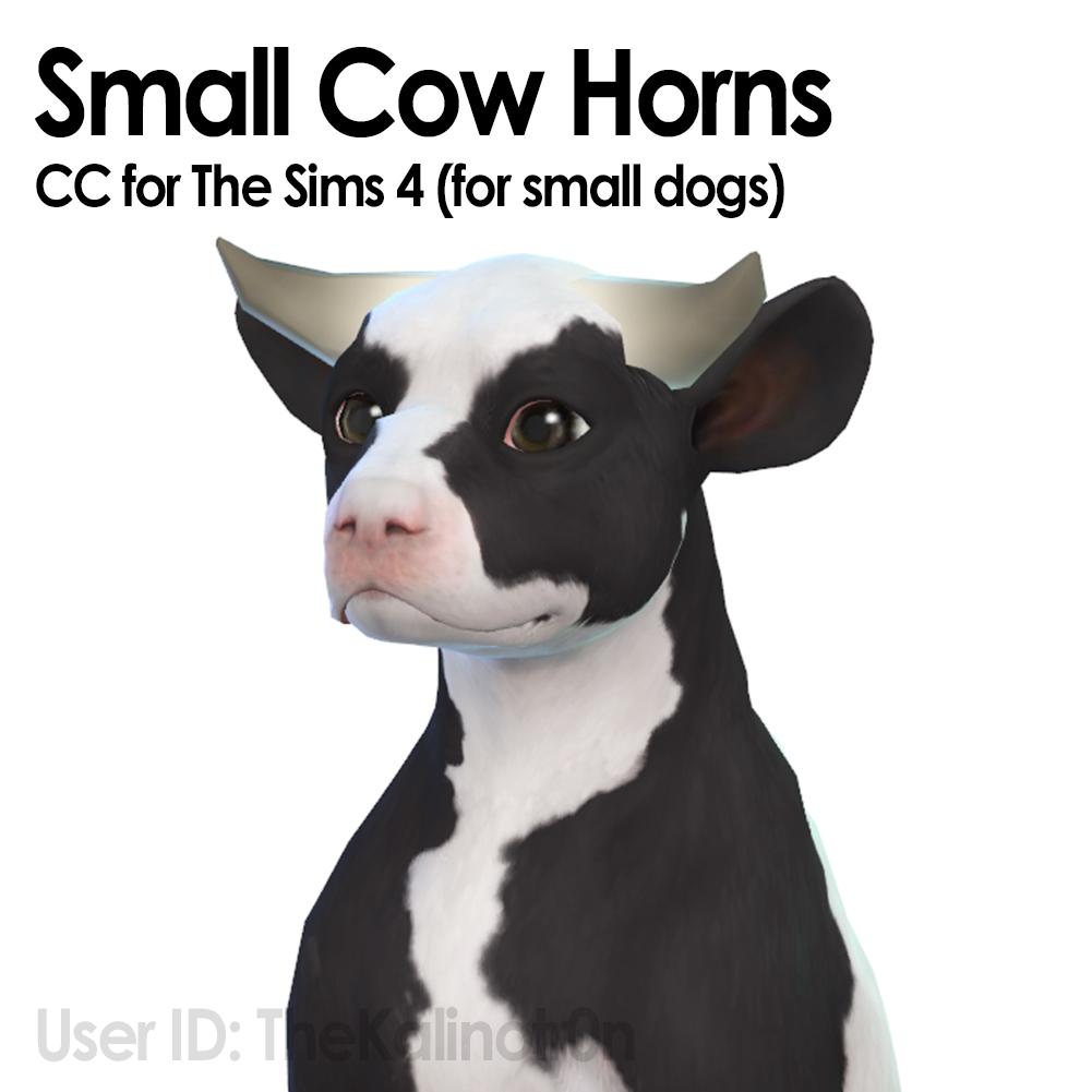 Small Cow Horns for small dogs