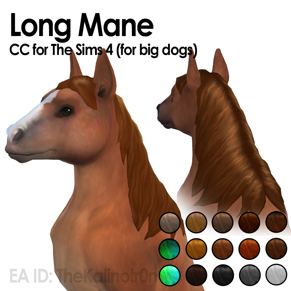 Long Mane