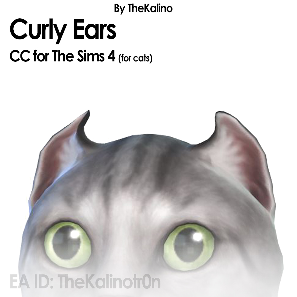 Curly Ears