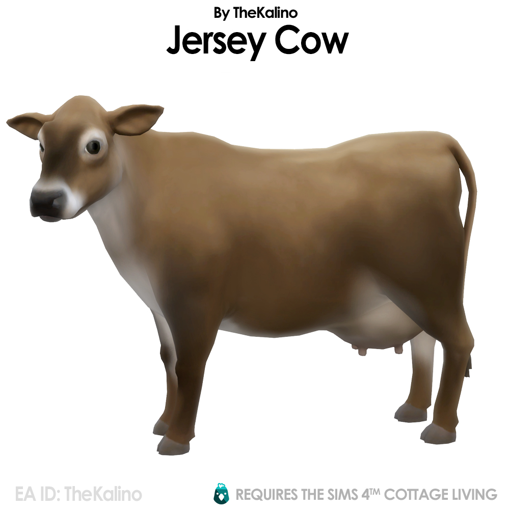 Jersey Cow for the Animal Shed The Sims 4 Build / Buy