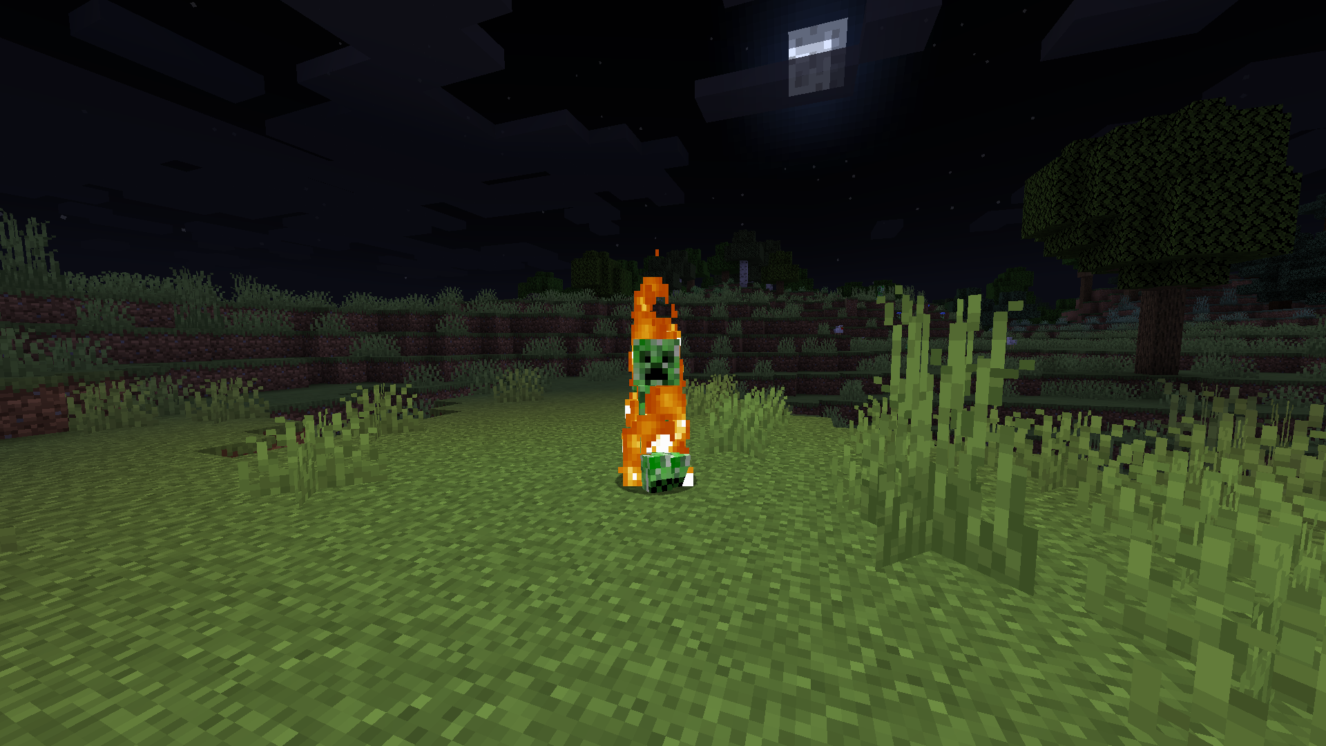 Burning Creeper