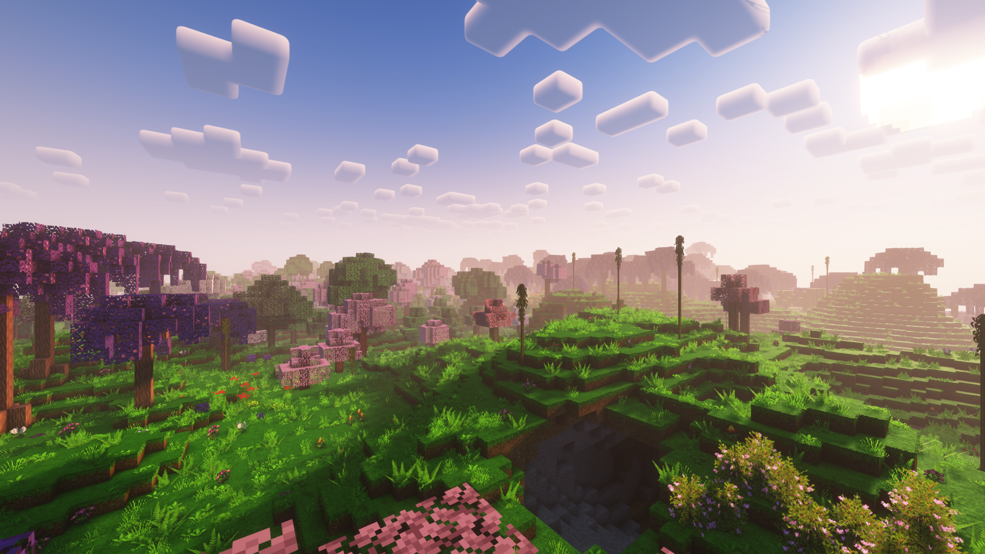 a variety of each type of biome