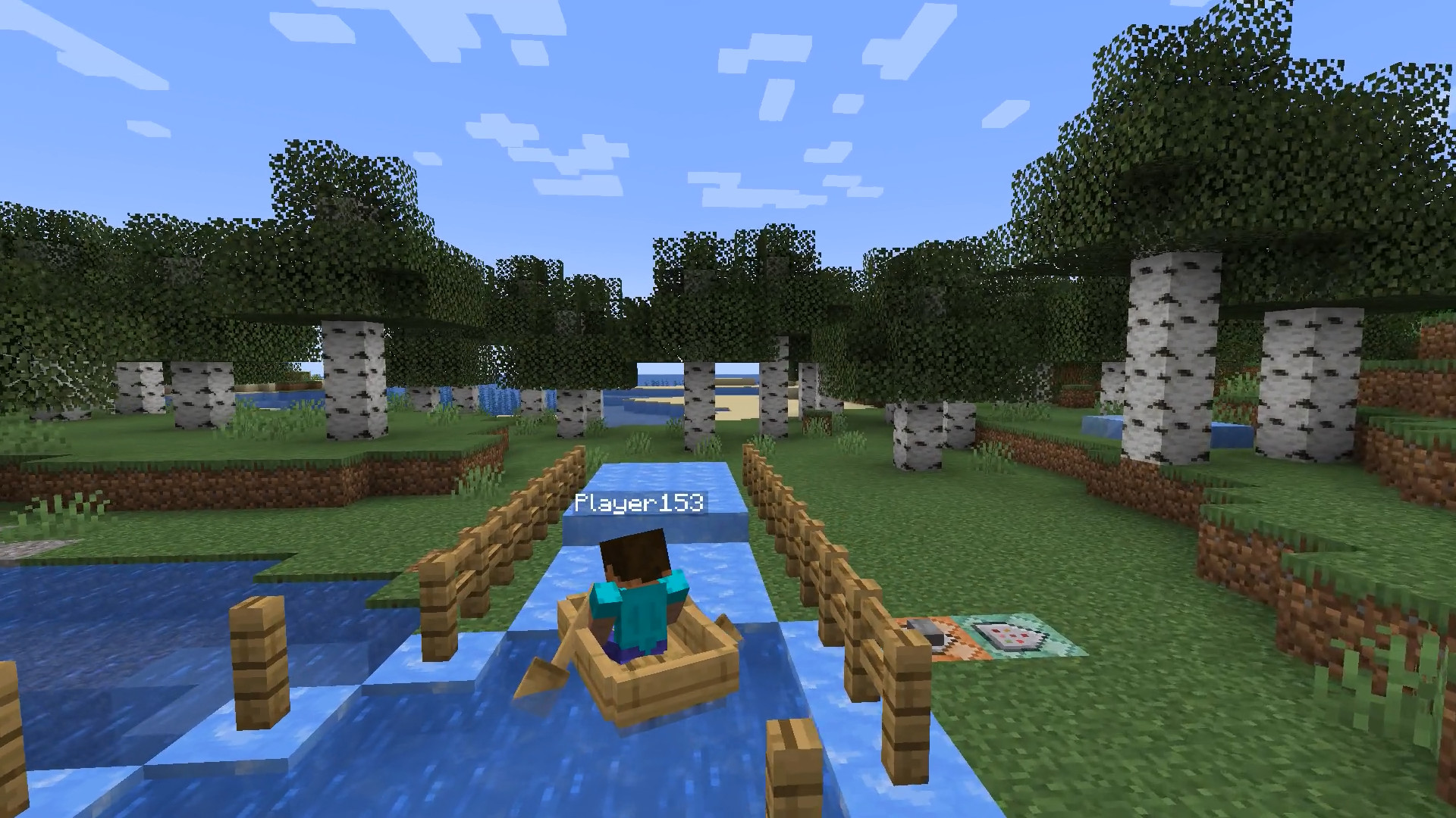 steve drifting from water onto land