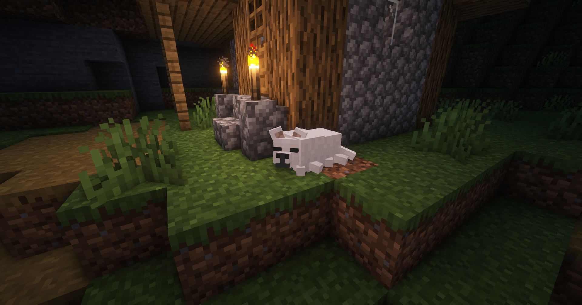 Sleeping Dog