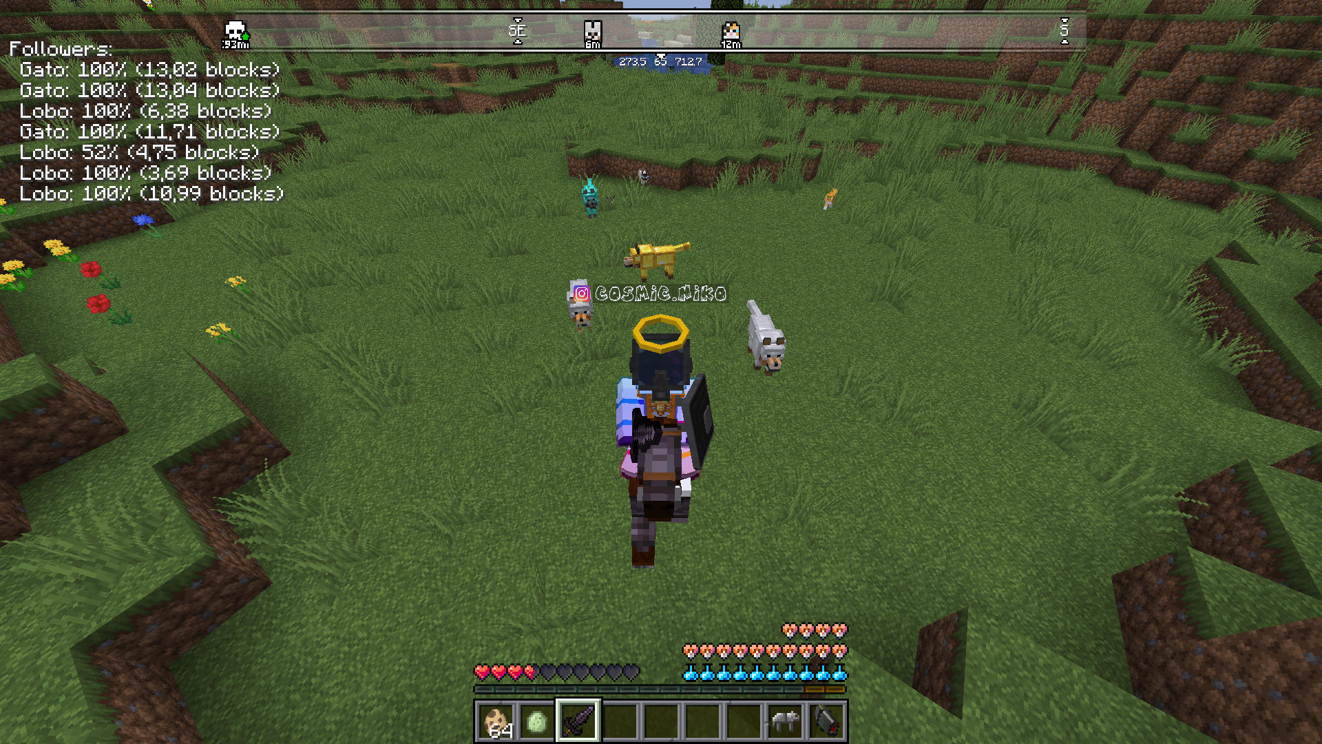 Consigue tu caballo con un HUD personalizado y equipalo hasta con netherite !!