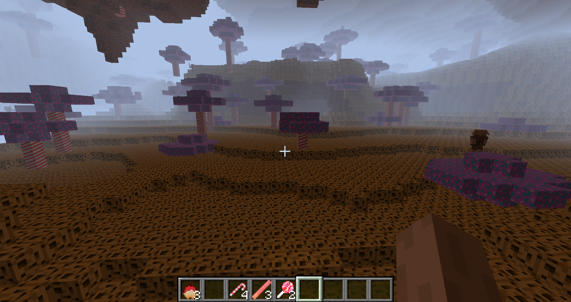 Cookie world nether