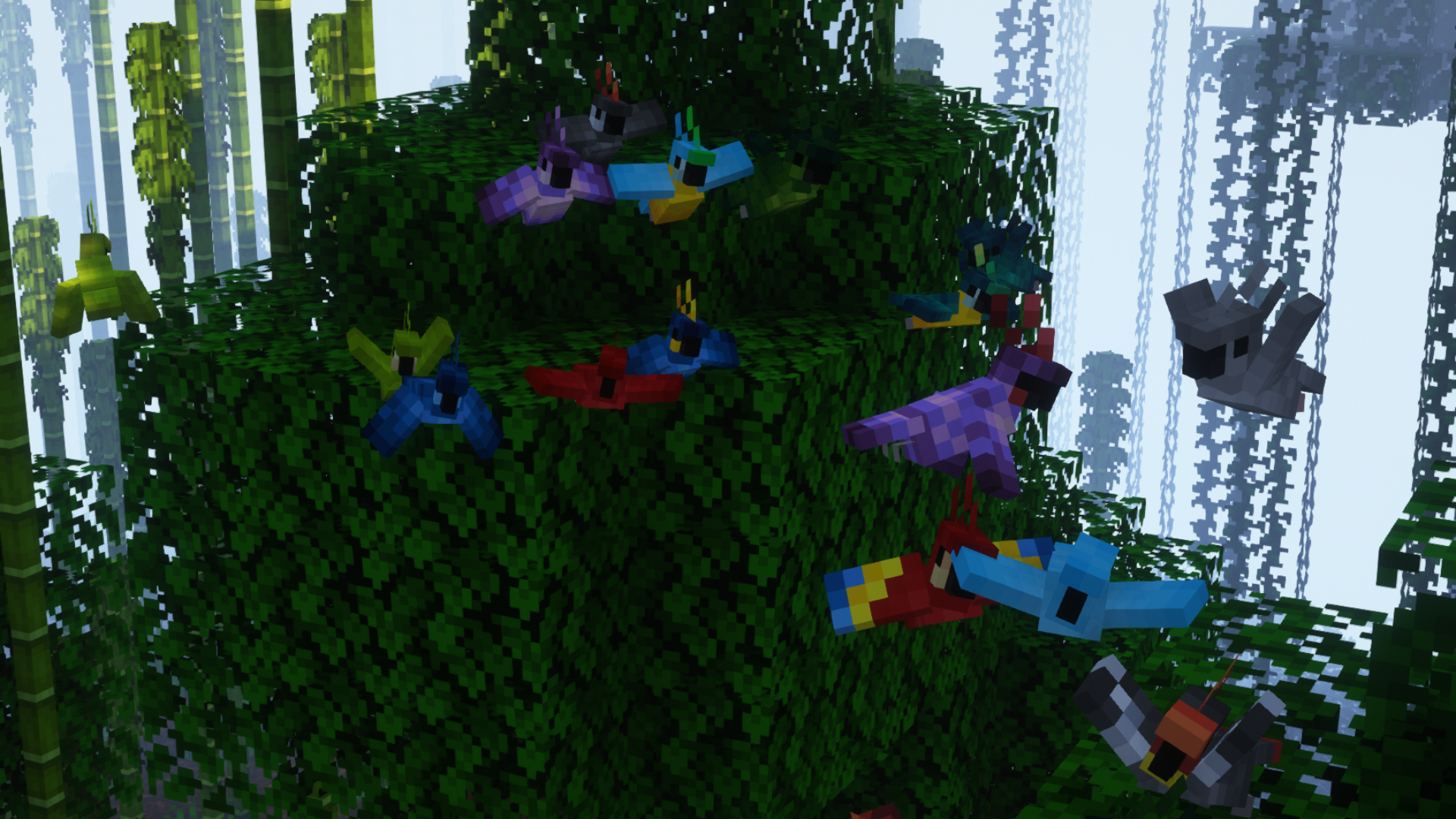  Flock of Parrots 2