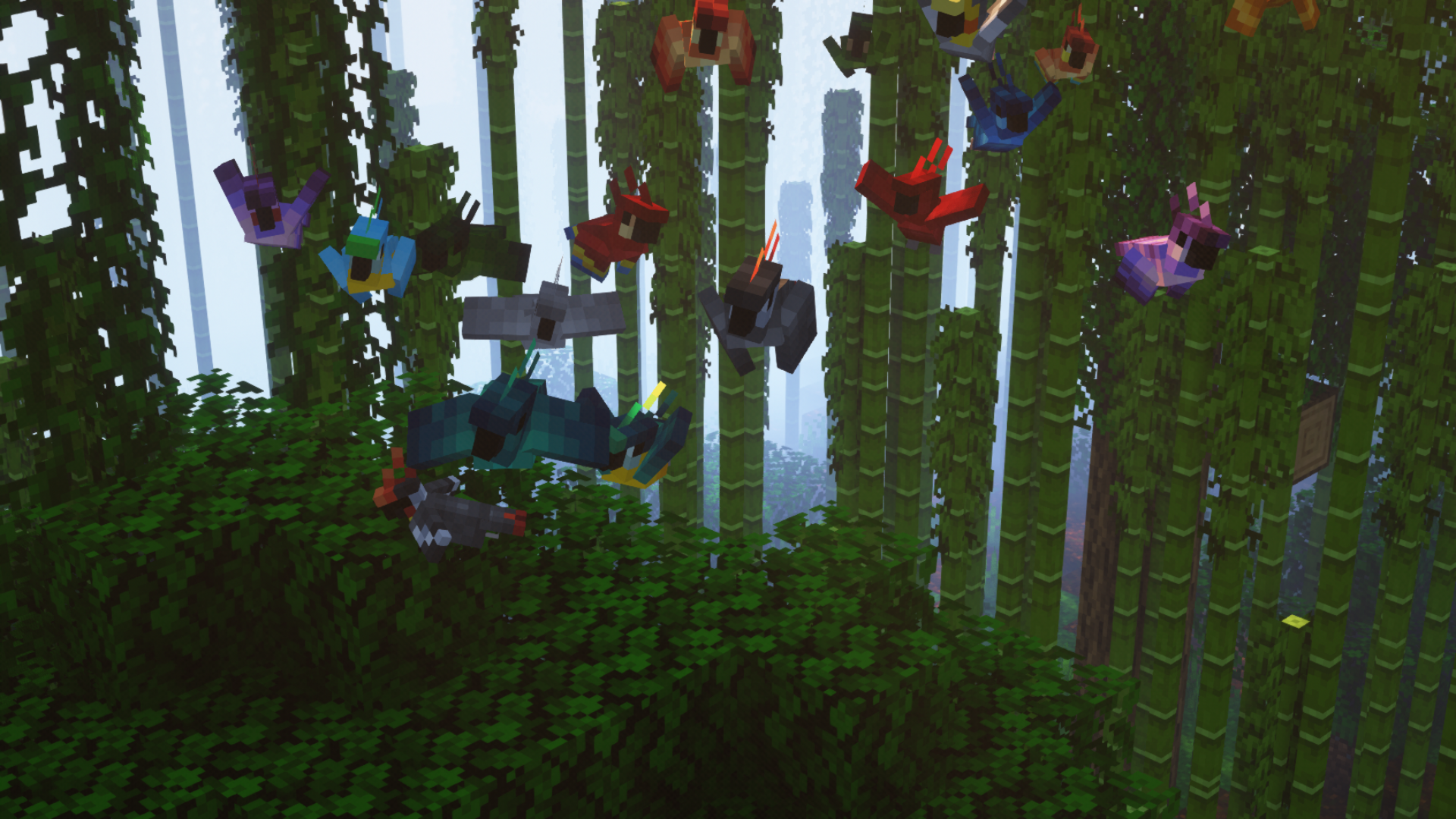  Flock of Parrots 3