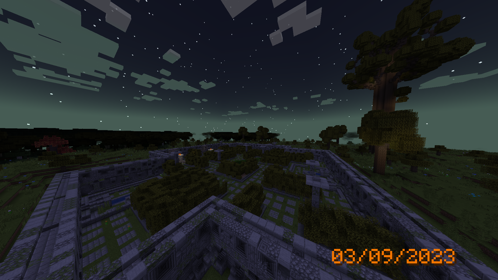 Twilight Forest