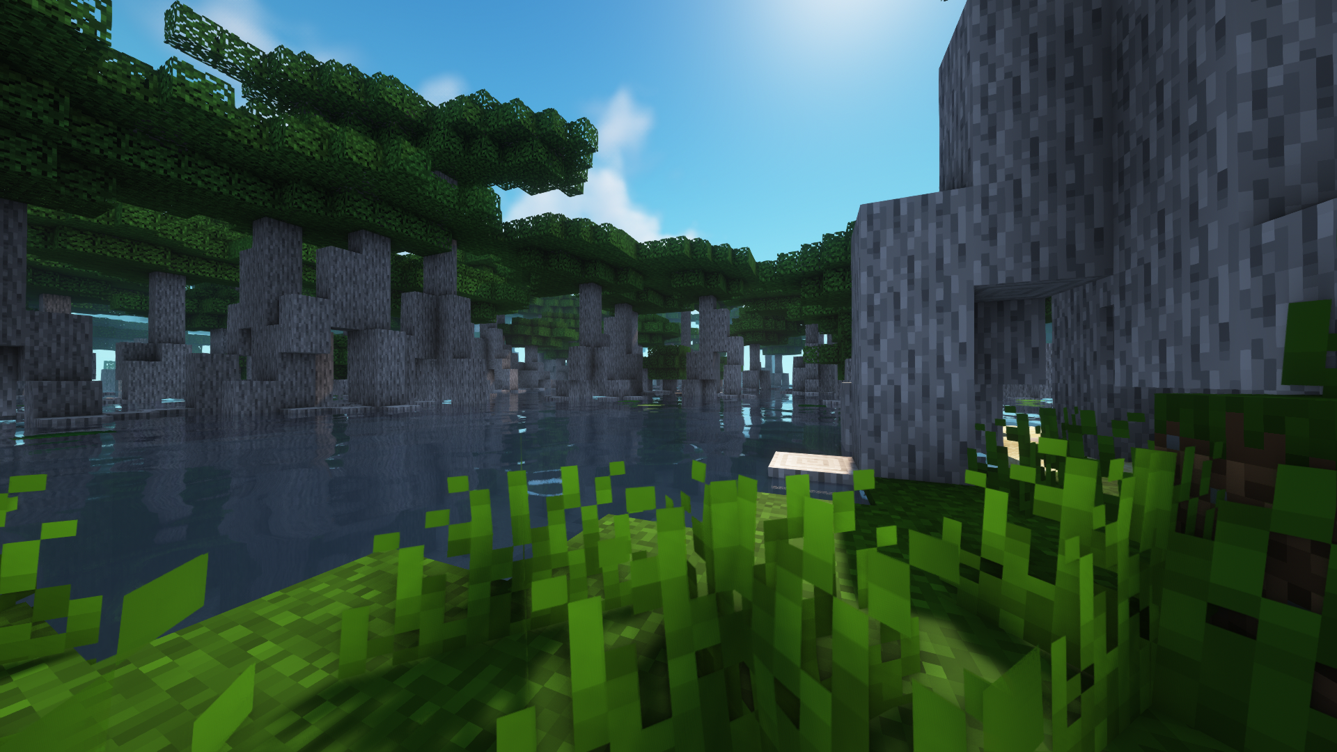 (Taken With Complementary Shaders)