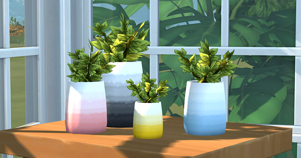 with a soft gradient