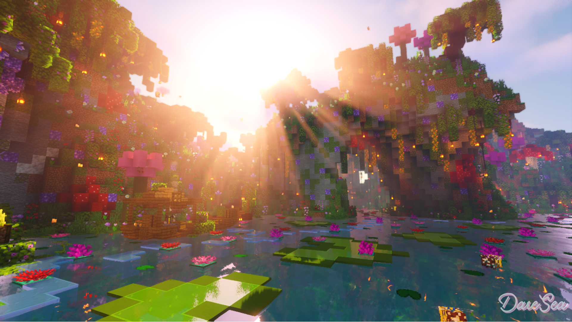 Close up of the lilypads of phase 1