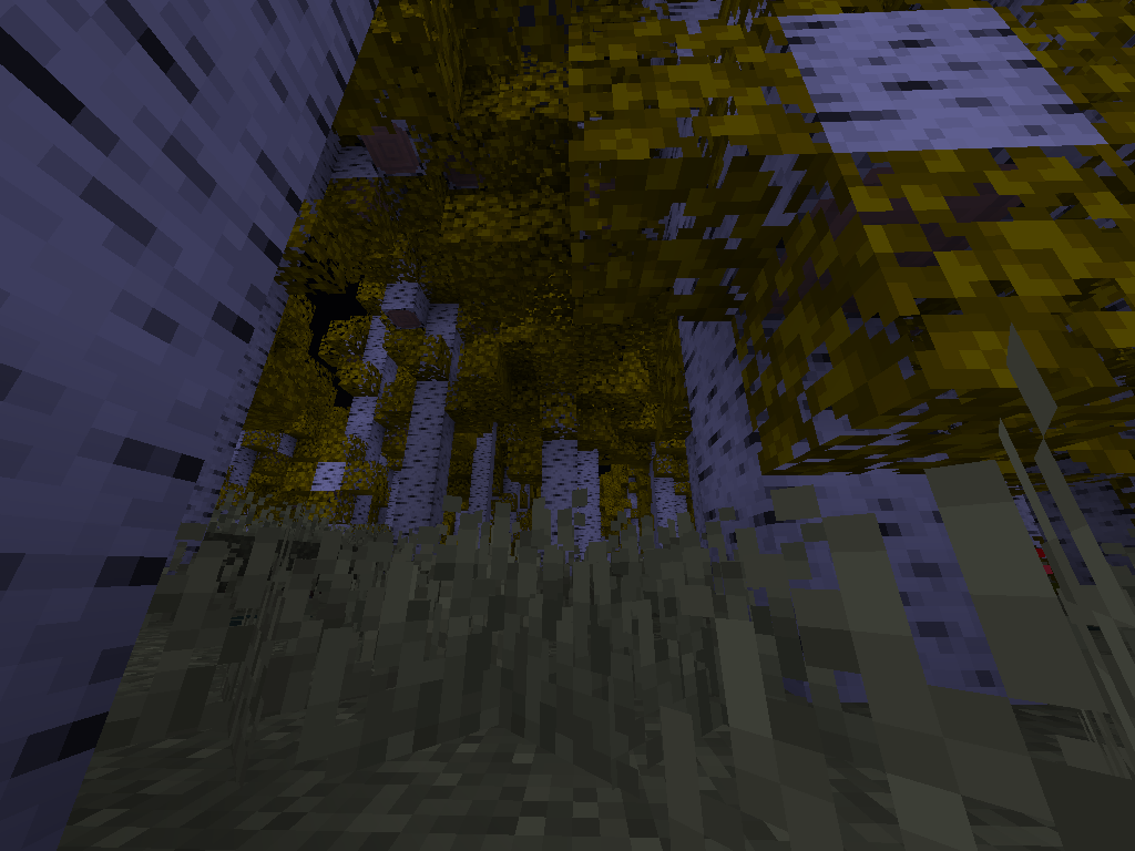 A magnificent yellow brich forest