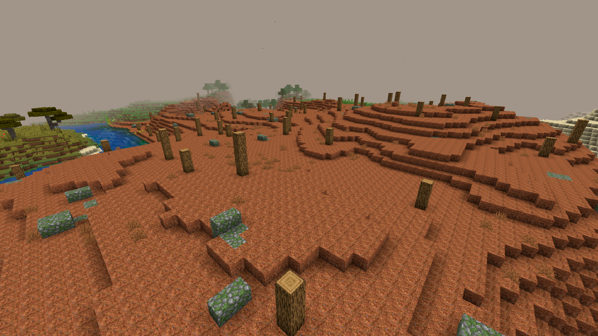 New Biome