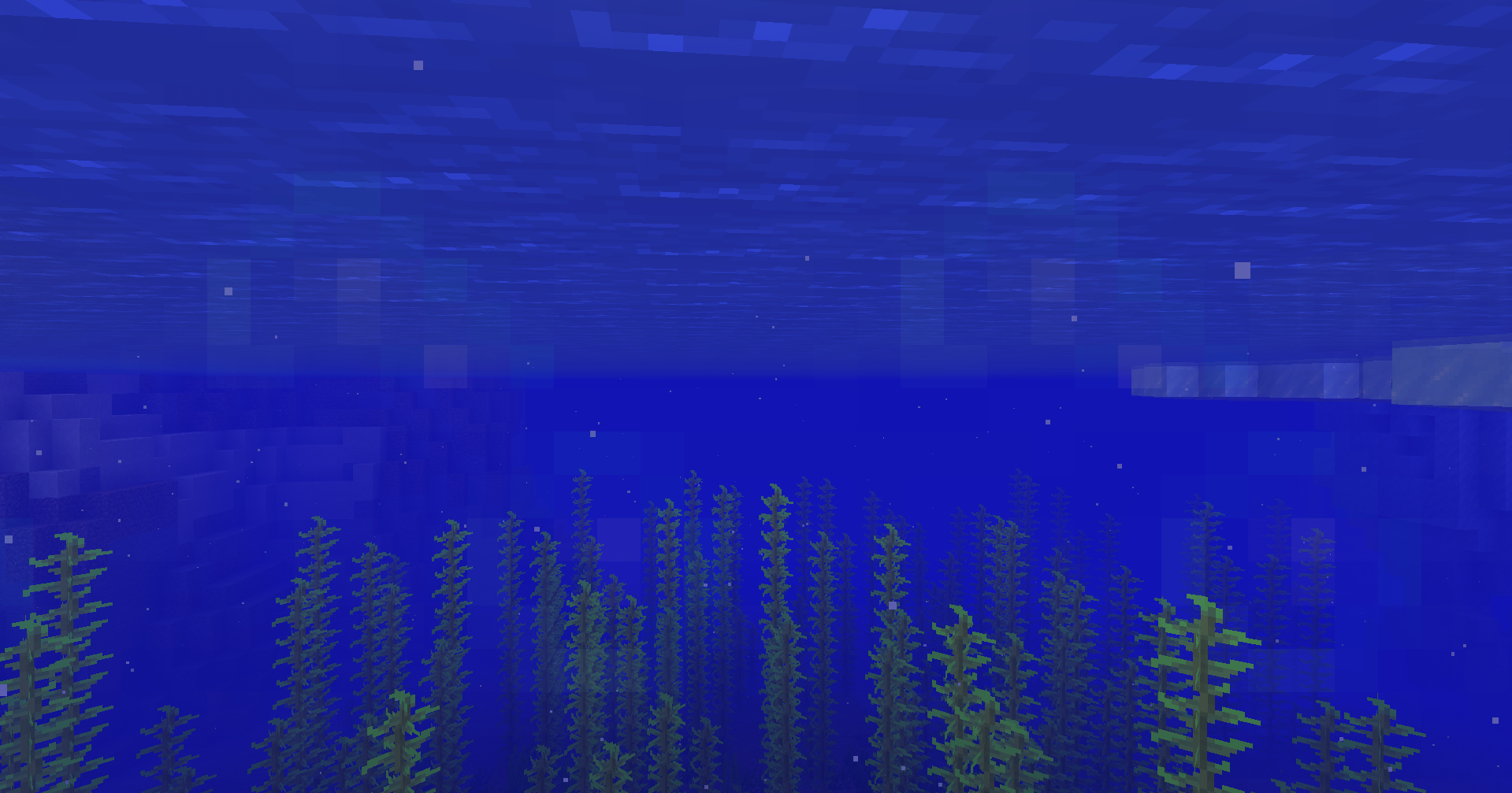 Underwater vision