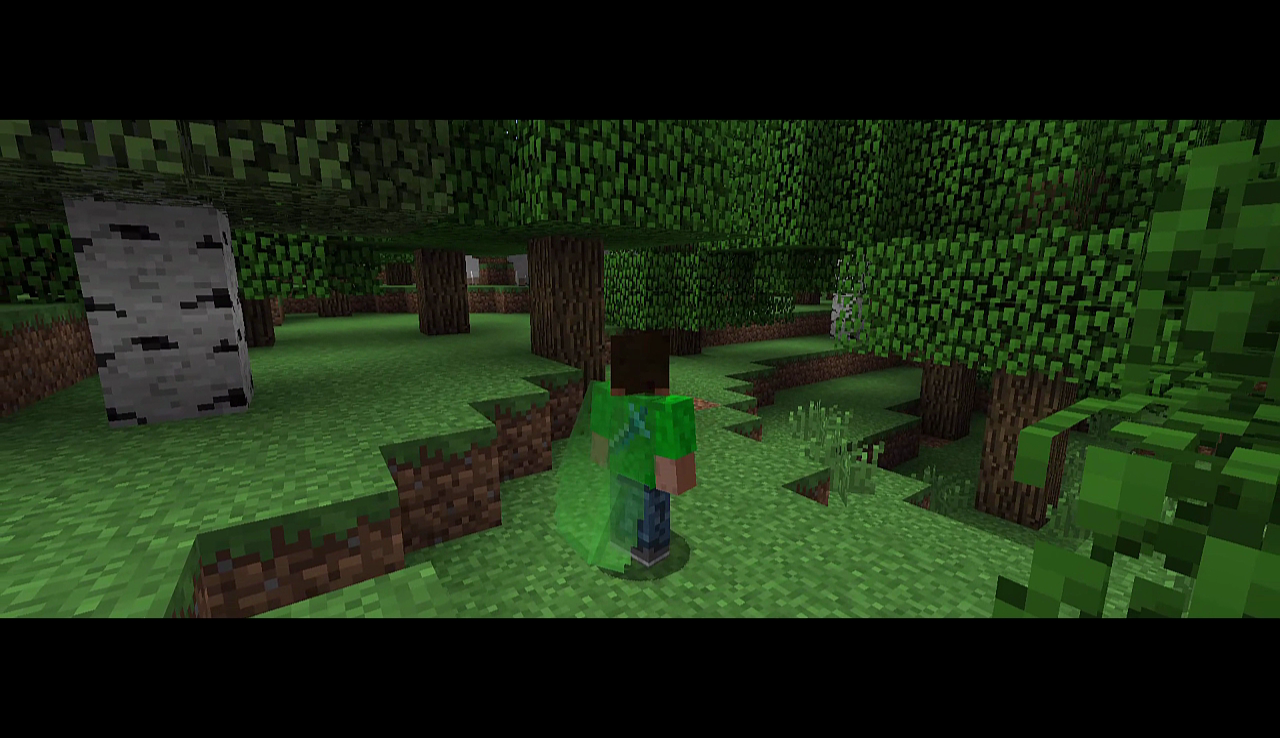 Green transparent elytra