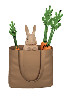 Bunny in bag