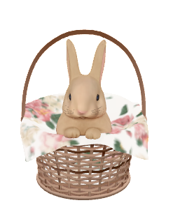 Bunny in basket