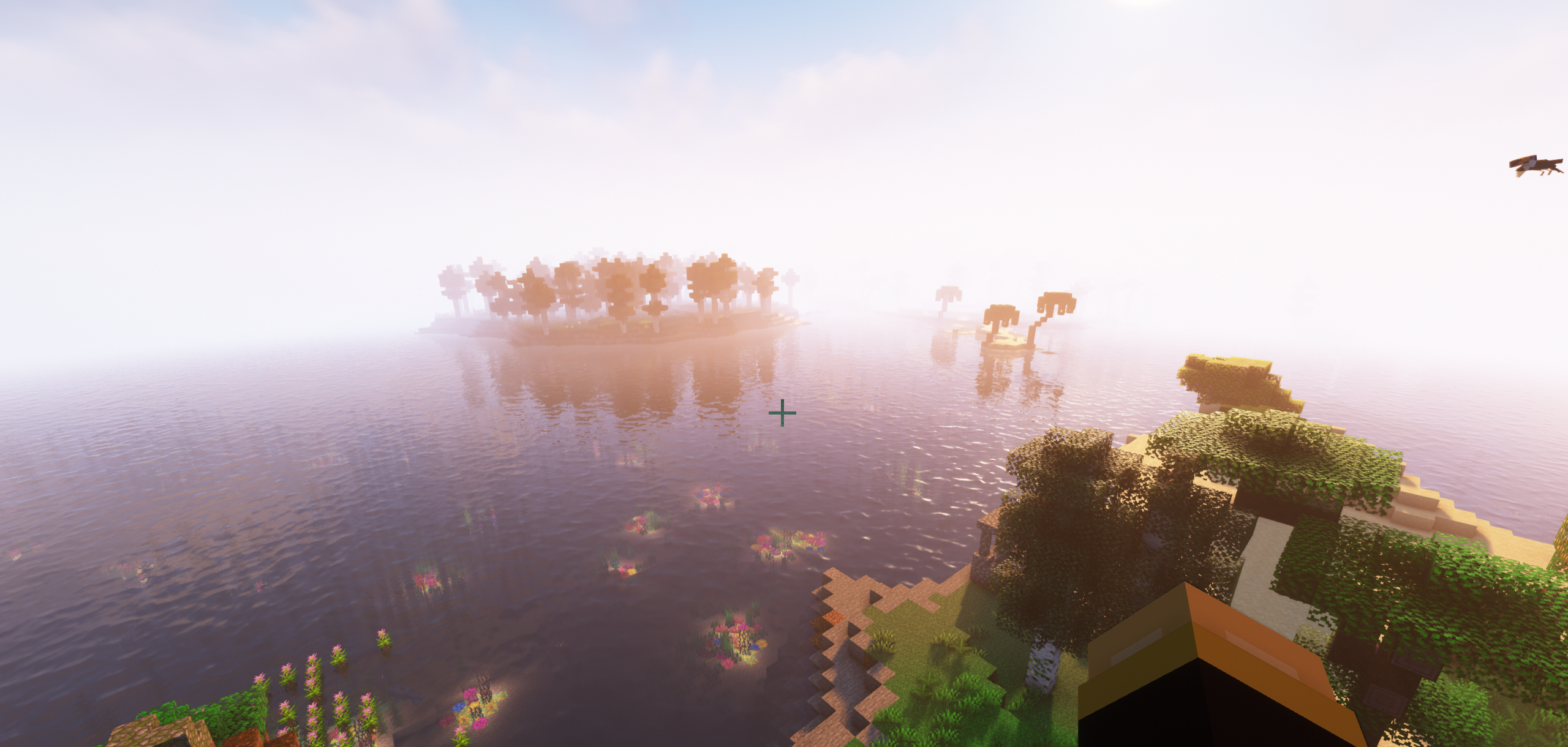 A big ocean with coral reefs.
