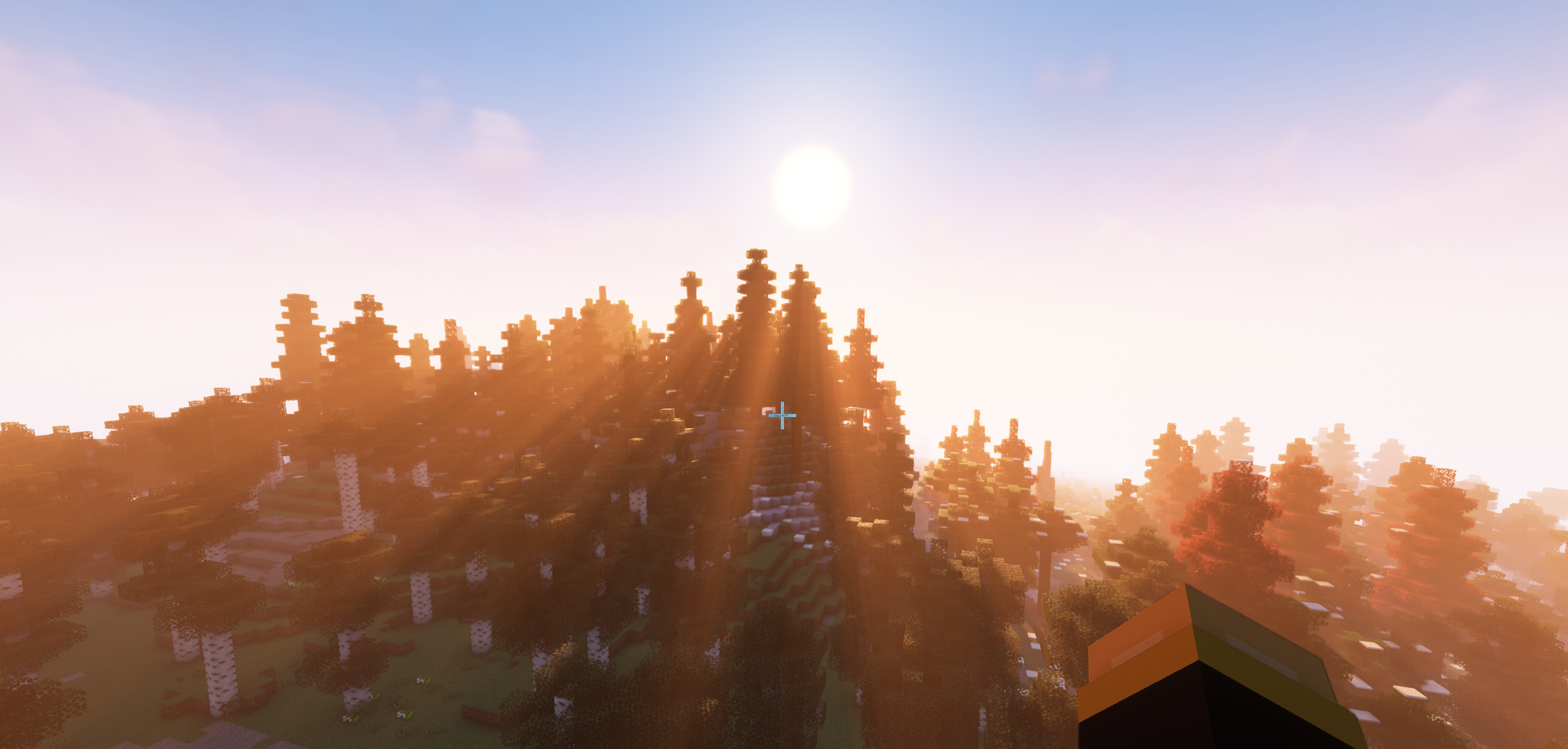 a sunset before the sun goes behind the trees.