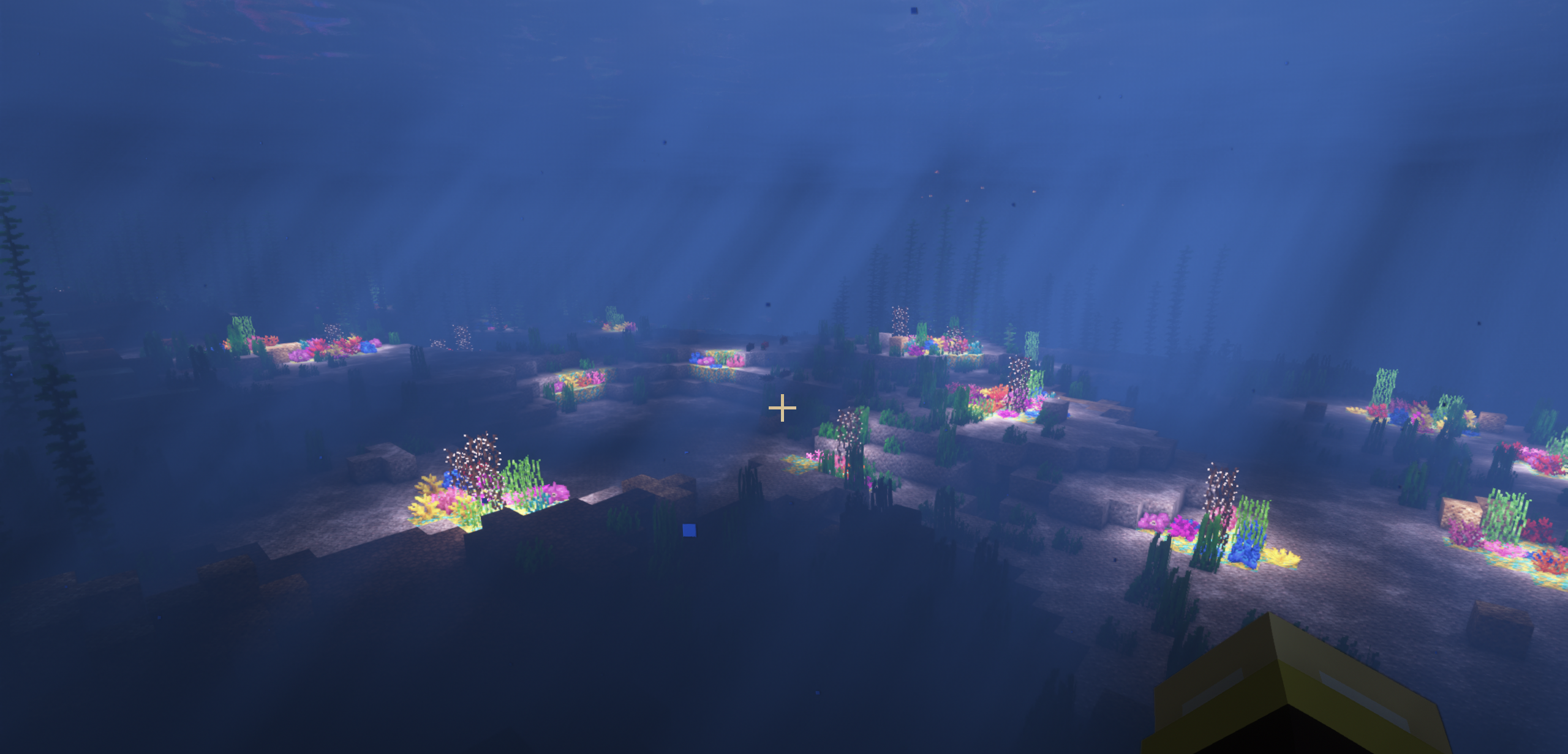 a look underwater.