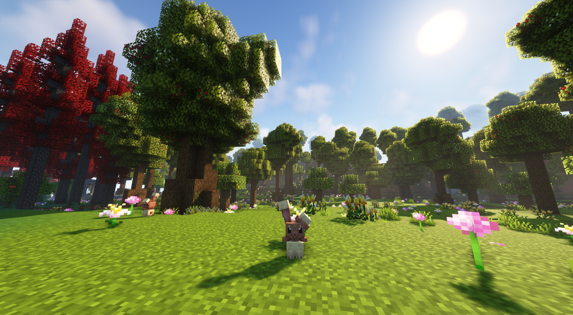 Terrain with Pokemon
