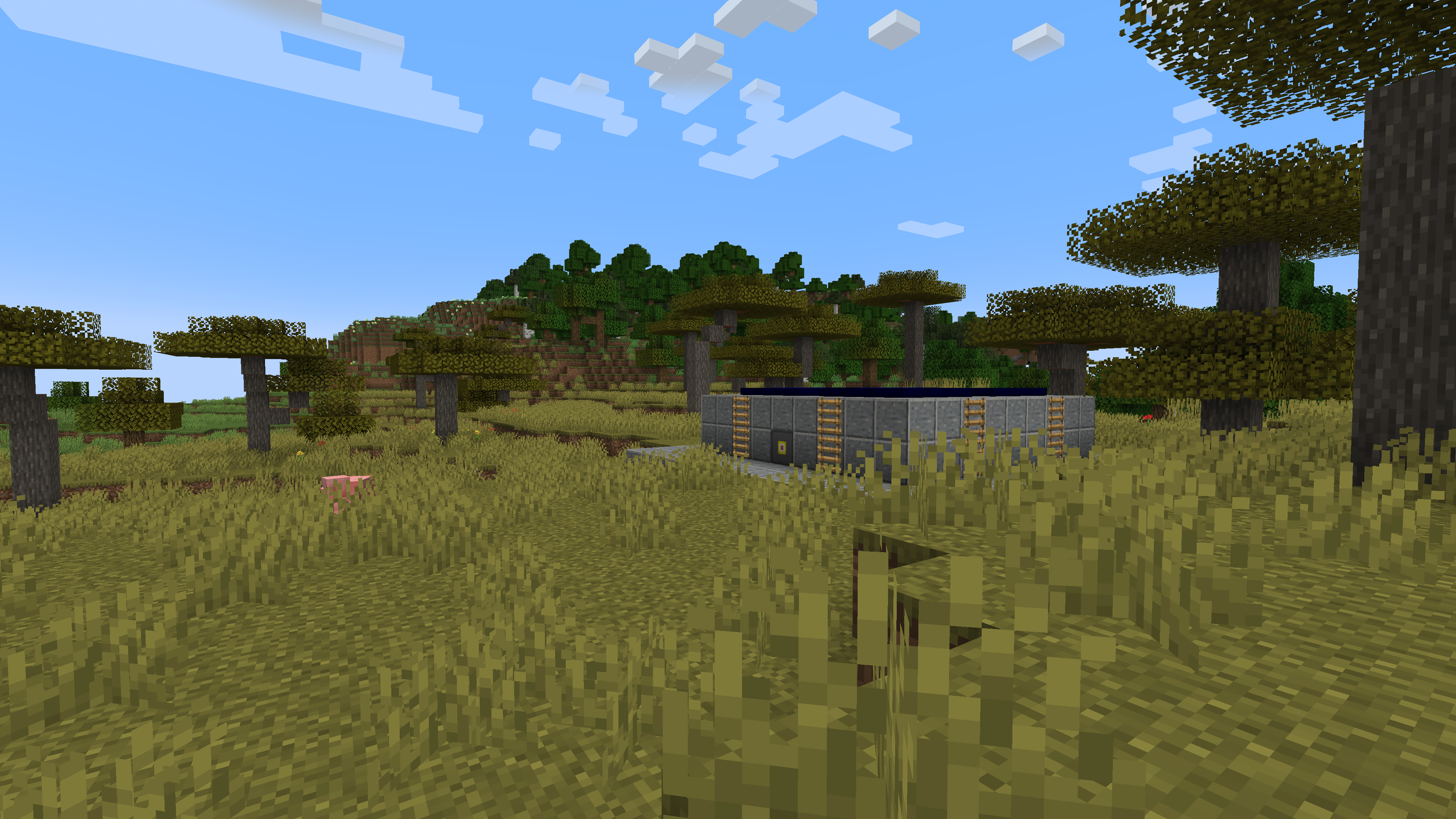 Screenshot thumbnail