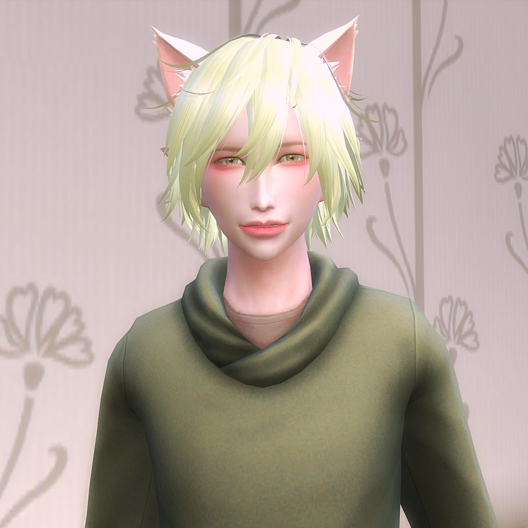 Ears - Cat - Screenshots - The Sims 4 Create a Sim - CurseForge