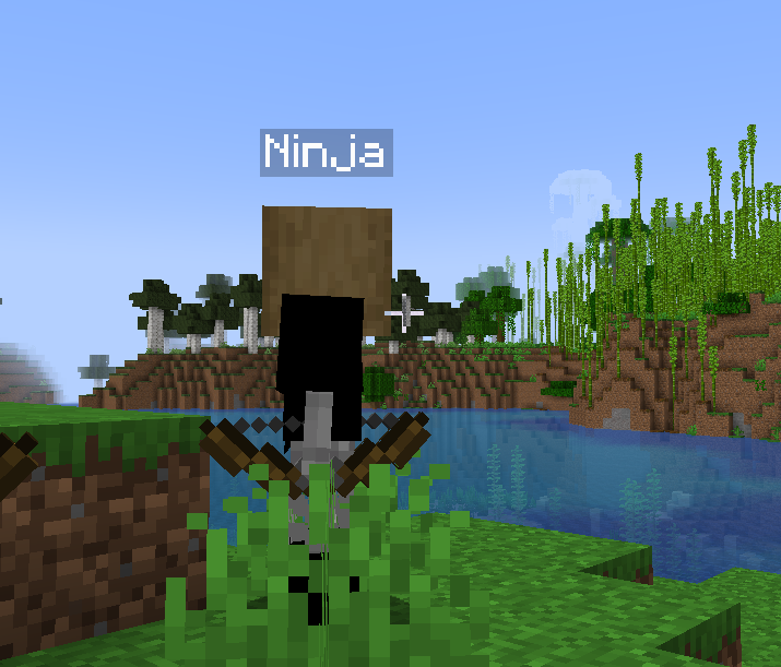 Ninja