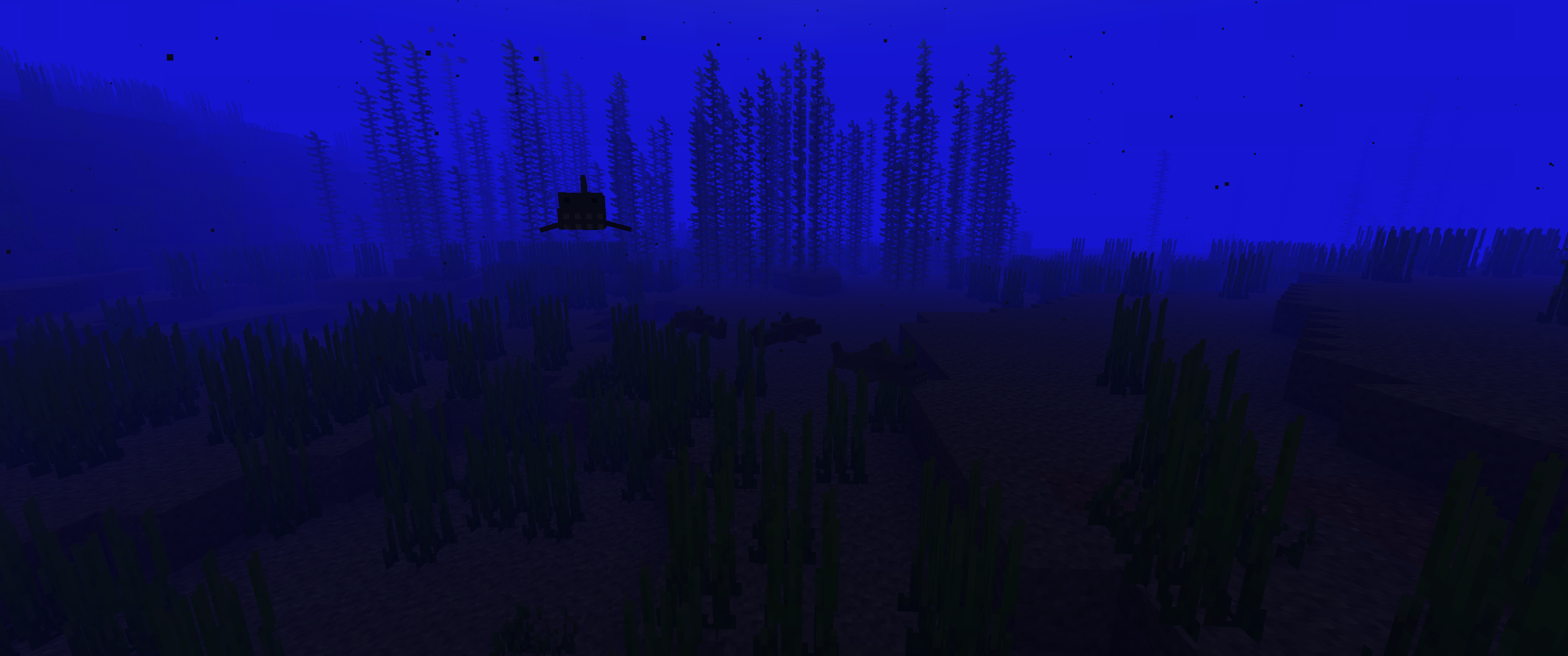 Search the seas for sharks to get useful loot!