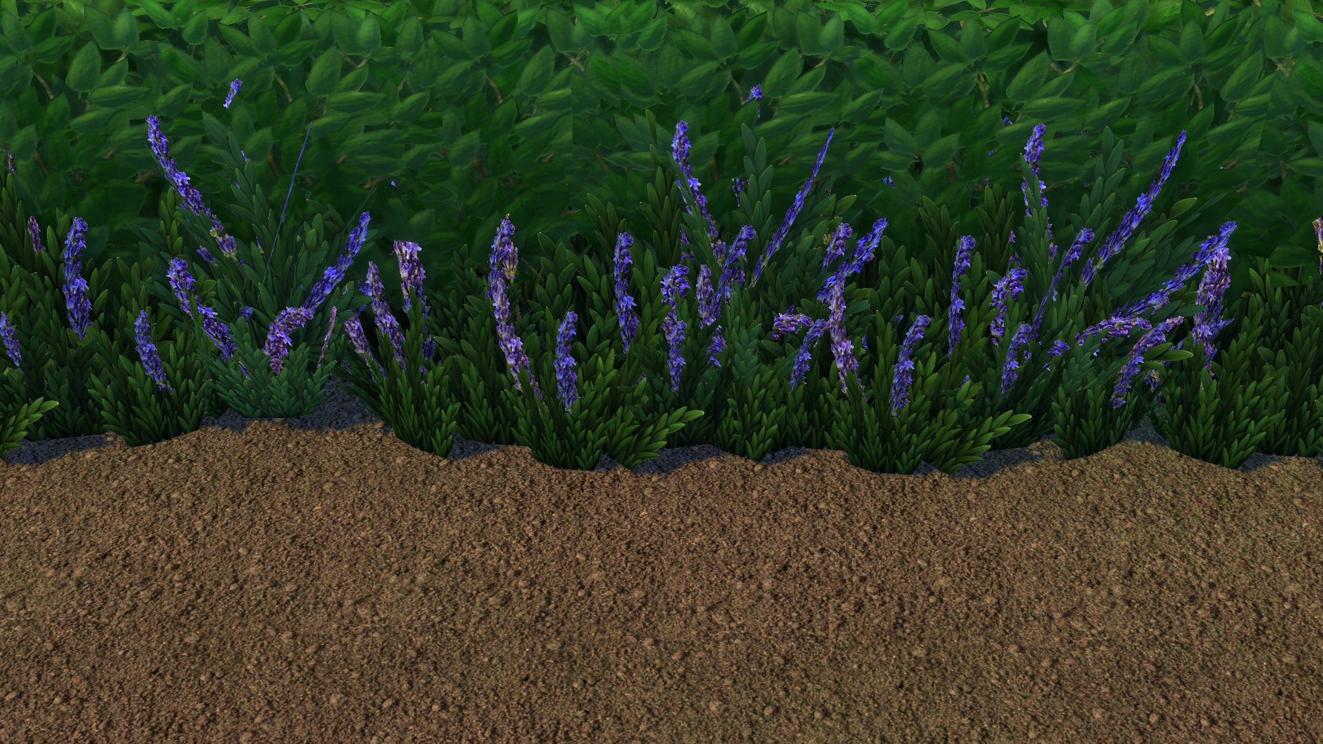 Garden Dirt Terrain