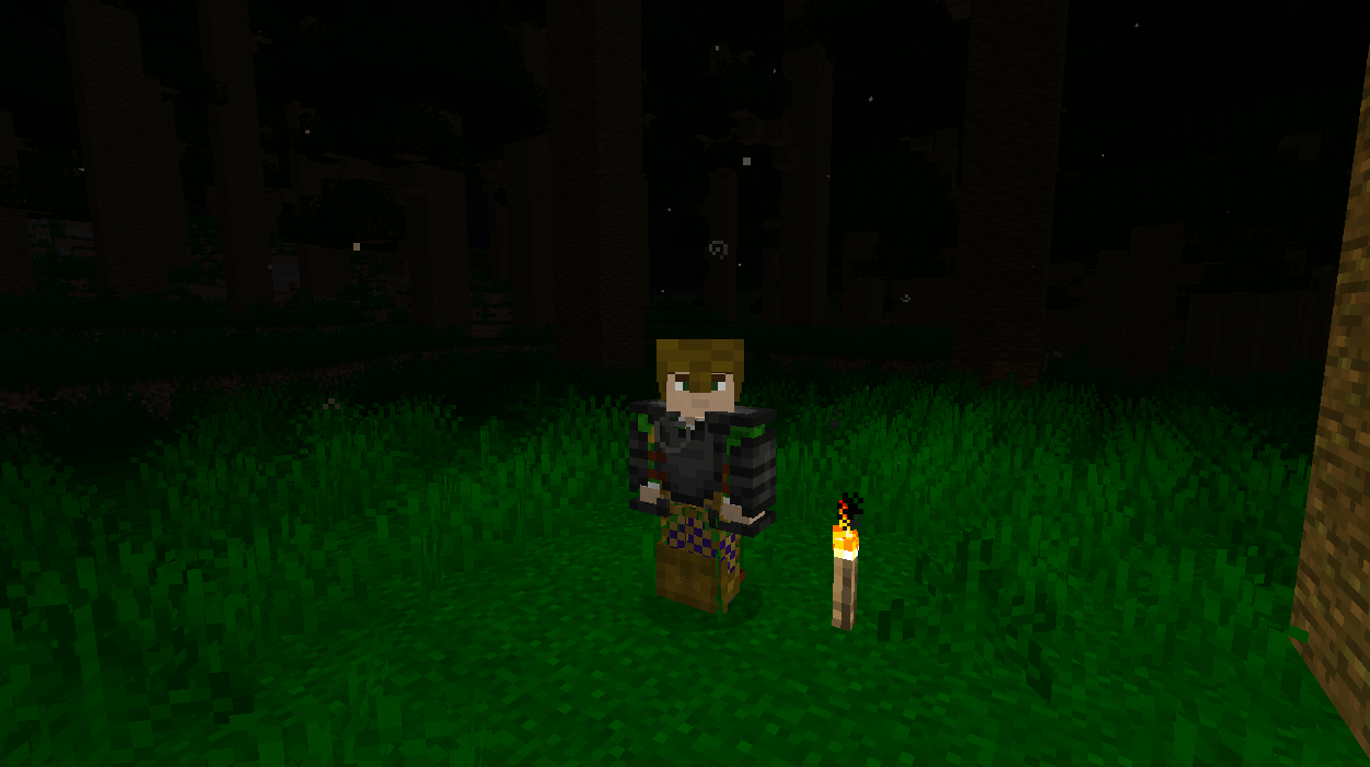 Thumbnail You'll need to carry some torches and strong armor to travel this dark dimension.
