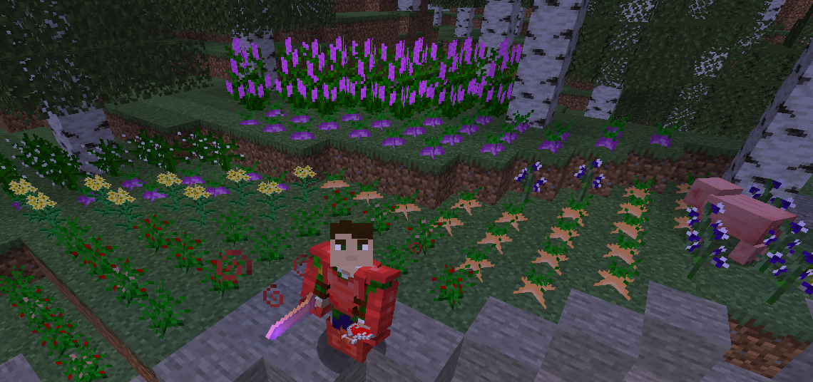 Thumbnail Not everything has to be fighting and raiding villages, there are a bunch of plants to discover!