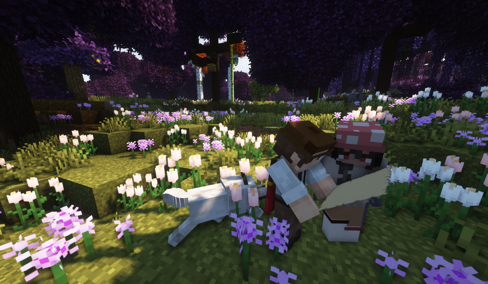 Little n Tacho checking map