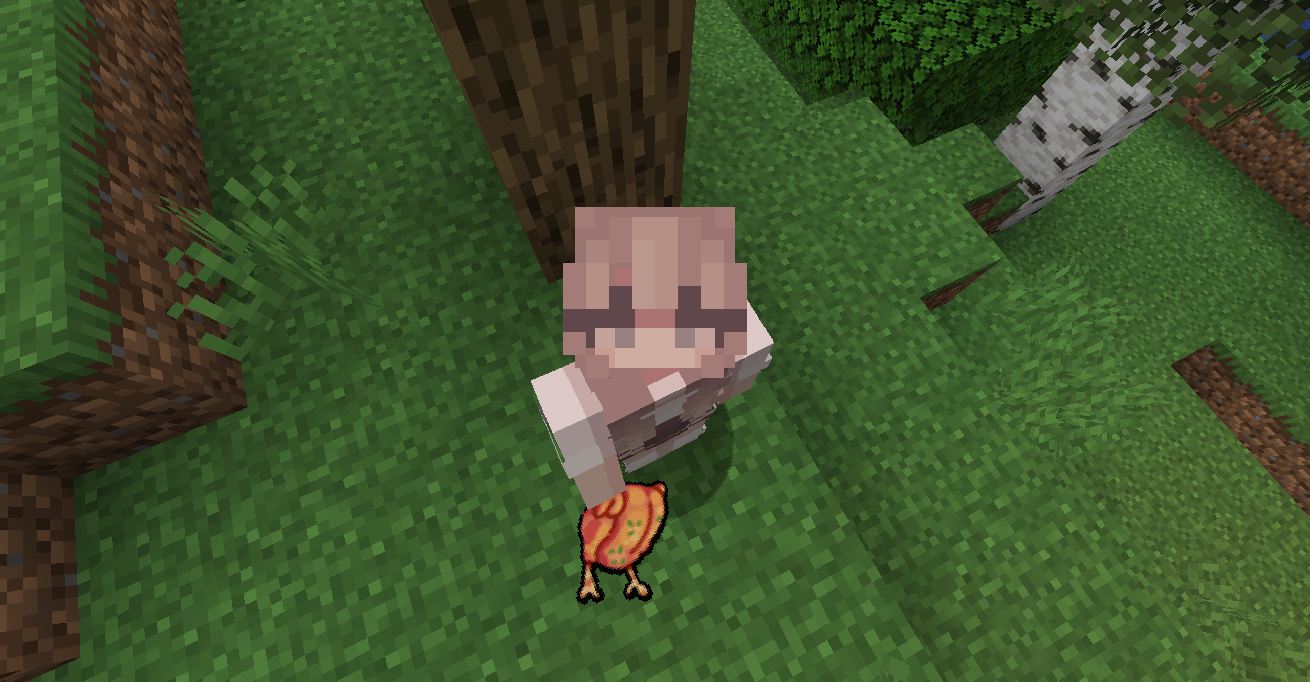 chicken example
