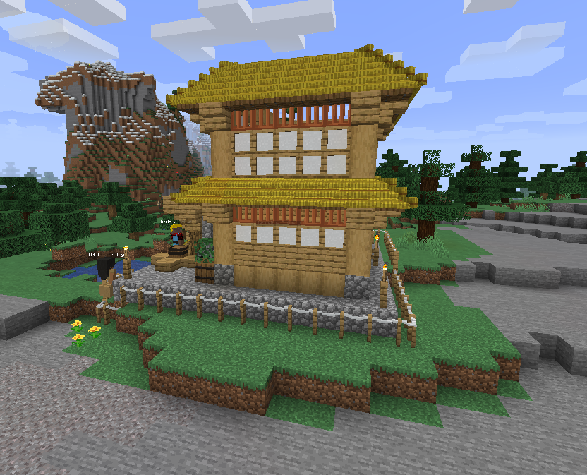 a Builder Builds a House for you