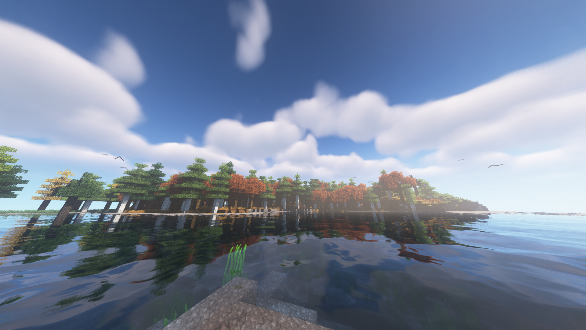 Neues Biom!