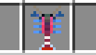 Thunderbolt Crayfish
