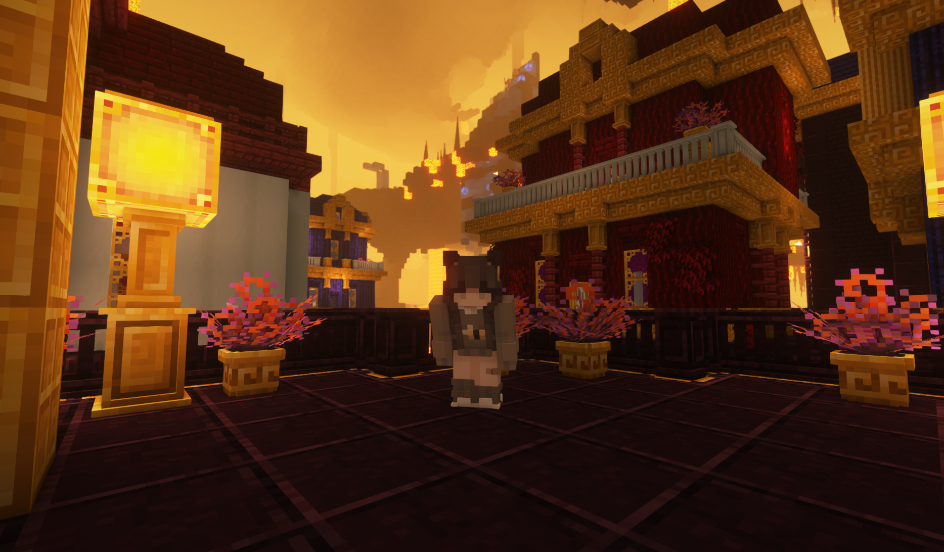 Pot was left in the Nether, berry scaree