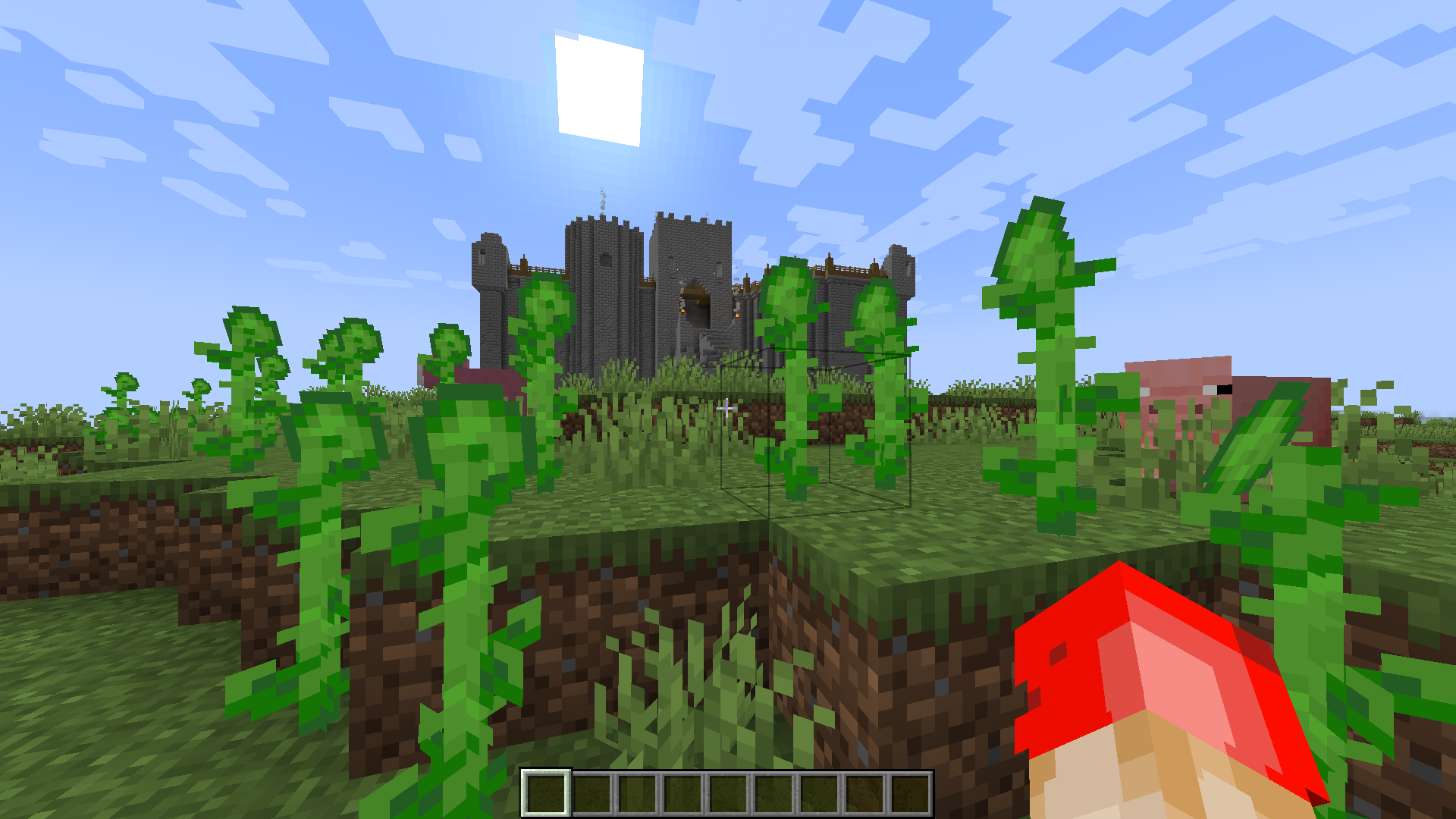 Agers Massive Castles Includes Mobs Trading Reputation Bounty Hunter Missions More 6978